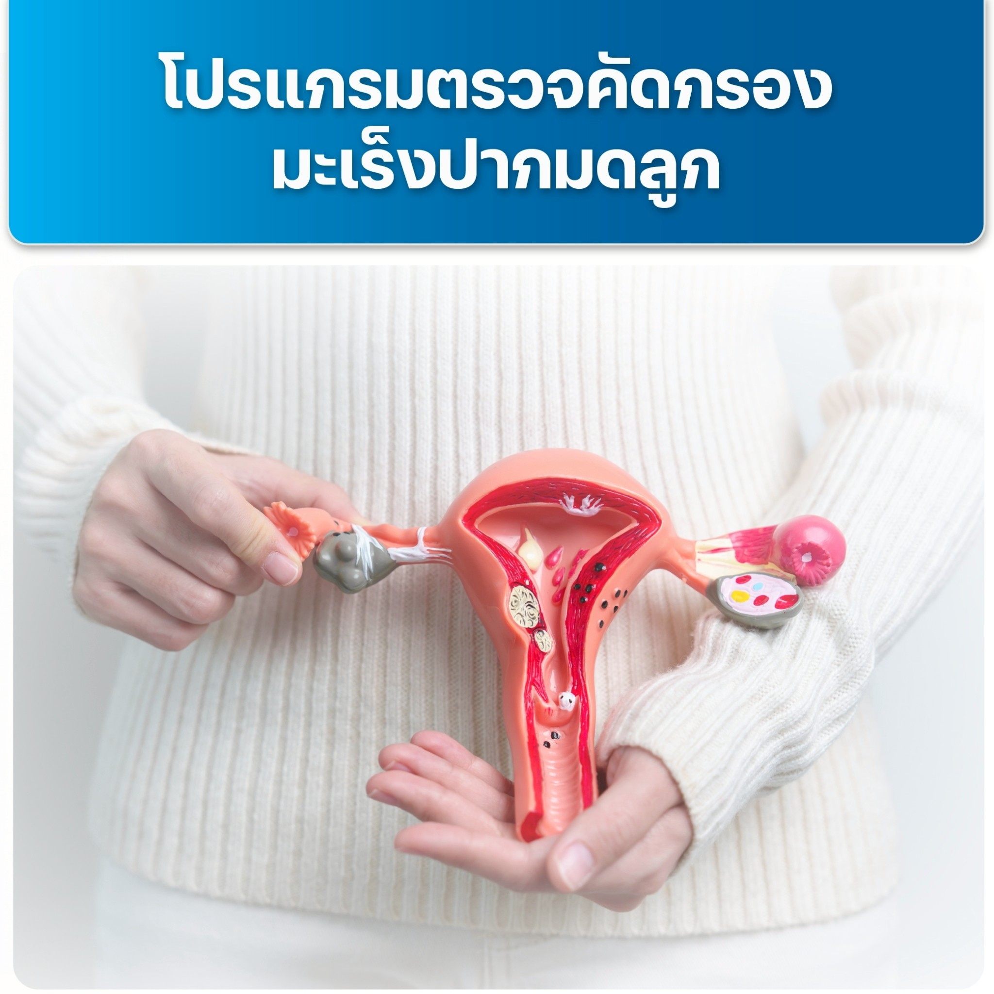 https://www.aikchol.com/upload/package-promotion/package-promotion-31072025-164234.jpeg